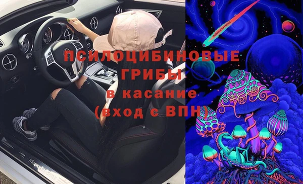 соль ск Новодвинск
