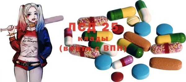 дмт Новозыбков