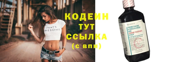соль ск Новодвинск