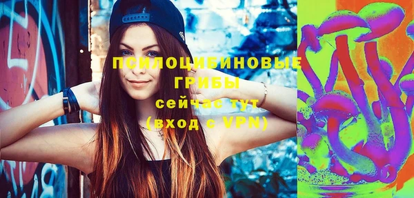 дмт Новозыбков