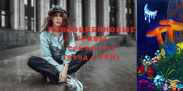 дмт Новозыбков