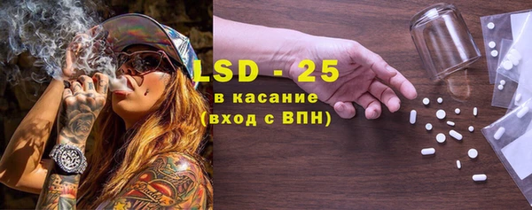 соль ск Новодвинск